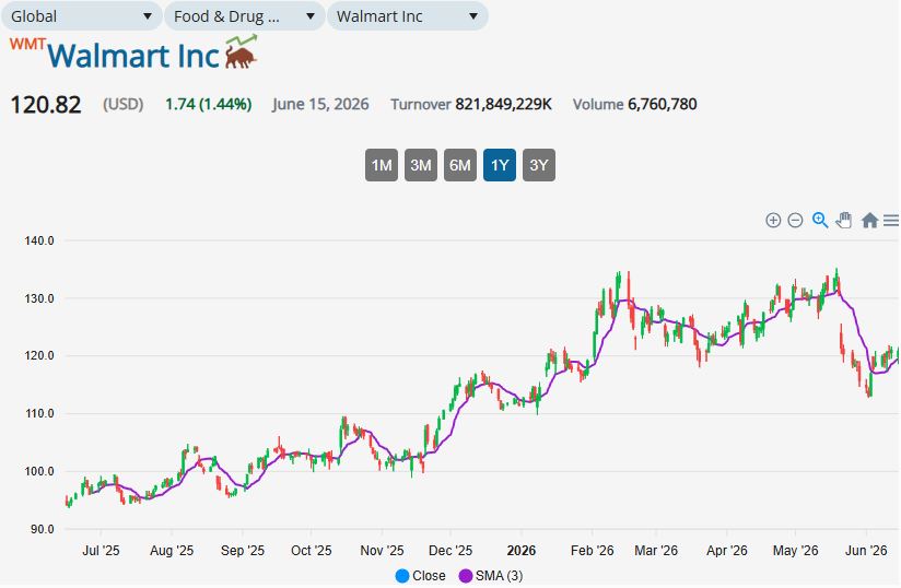 InsightBridge company overview dashboard preview